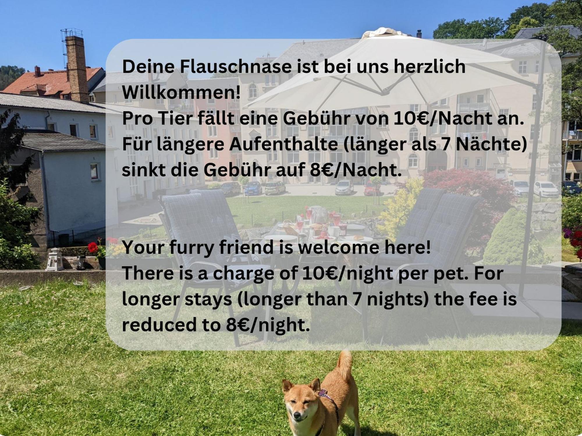 Hw1 - Urlaubsmagie - Sauna&Whirlpool Zum Entspannen Sebnitz Eksteriør billede